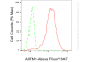 KD-Validated Anti-AIFM1 Rabbit Monoclonal Antibody